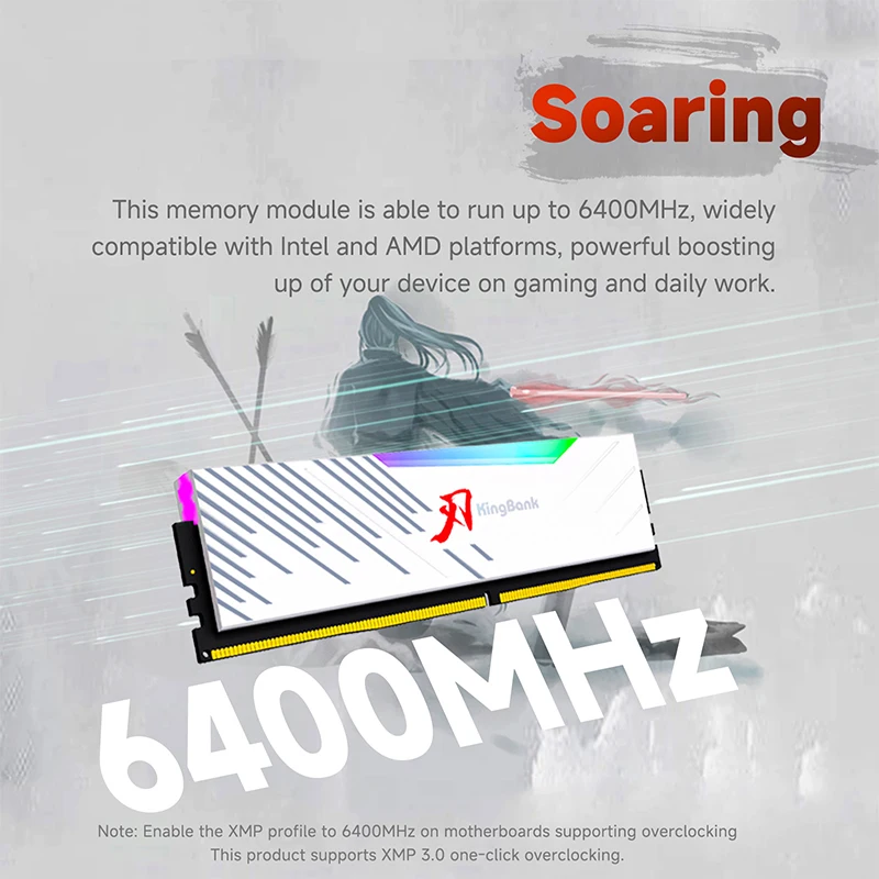 KingBank ddr5 RGB ram speicher DDR5 48GBx2 6400MHZ 96GB 48gb Hynix M sterben memoria ram ddr5 für PC desktop CL32
