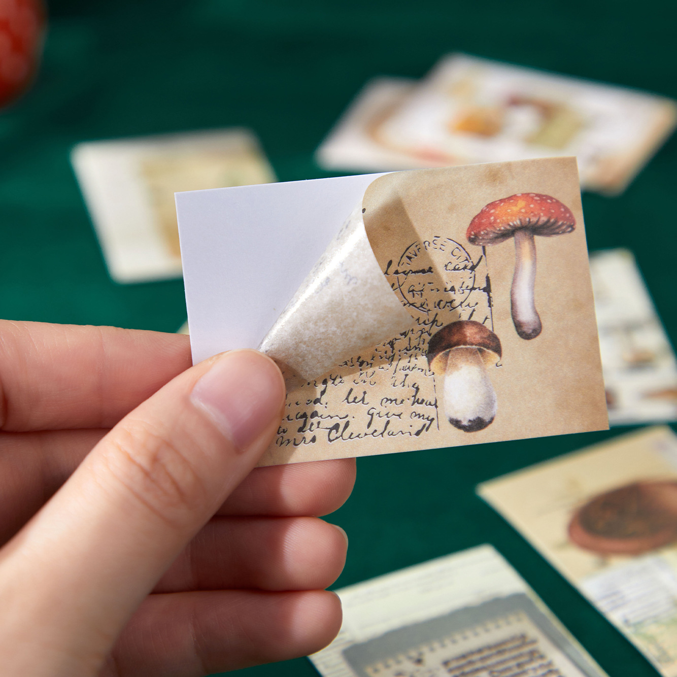 Mr. กระดาษ, 8รูปแบบ, 50ชิ้น/หนังสือ, สมุดสะสมสติ๊กเกอร์ภาพประกอบผีเสื้อโบราณ, อัลบั้มรูป, สมุดภาพ, สติกเกอร์ตกแต่งภาพปะติด