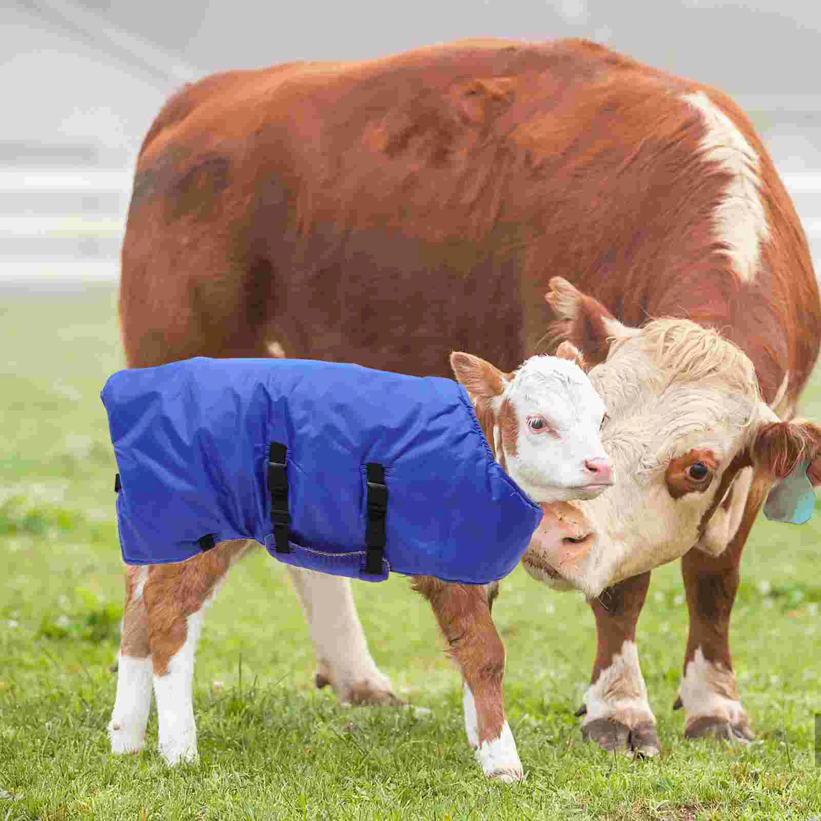 Fleecedecke, Wadenweste, Winterkleidung, warme Bekleidung, Kleidung, Ziegenmantel, Damen