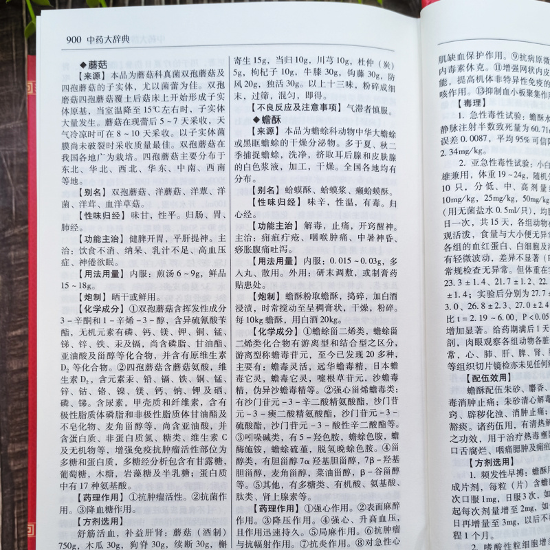 【ブランドレビュー3881.5万+ストリップ】本格中医学辞典 医学古書 薬局方 診断とメディ