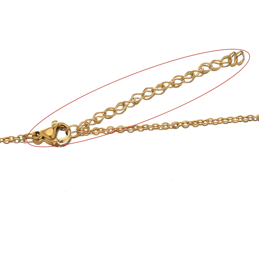 10 stuks roestvrijstalen verlenging verlengde staartkettingen kreeft sluitingen connectoren DIY sieraden maken bevindingen armband kettingen