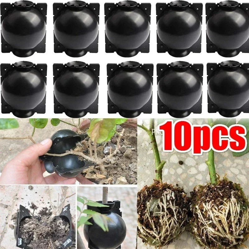 10 ชิ้นReusableรากพืชปลูกกล่องตัดGrafting Rooting Ball Garden Rooting Propagation Ball S Breedingอุปกรณ์