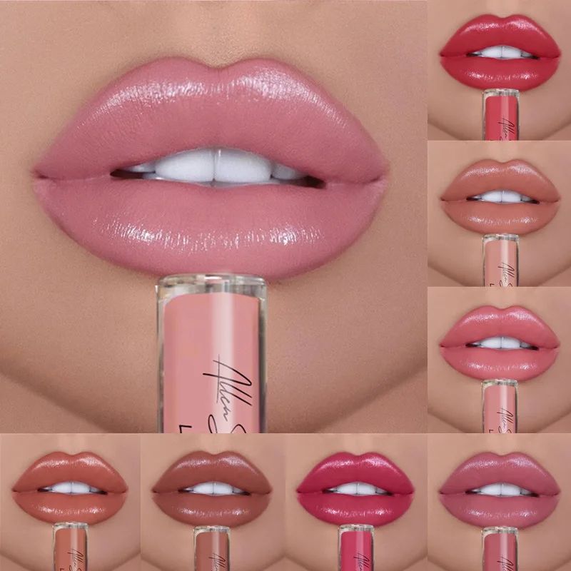 12 colores lápiz labial Sexy para mujer resistente al agua brillo de labios hidratante de larga duración brillo de labios colorido vivo maquillaje de labios para mujer