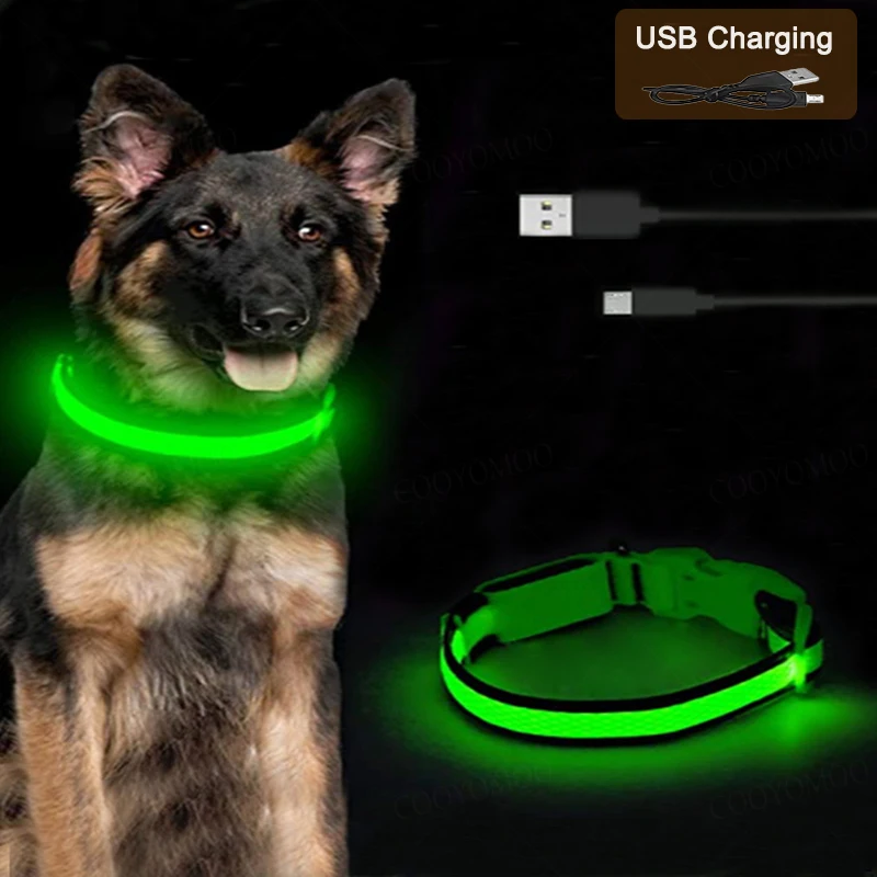 3 modi Hund Leuchtende Ladung Kragen Led USB Katze Hunde Halsbänder Abnehmbare Nacht Led Glow Hund Verlust Prävention Kragen Haustier zubehör