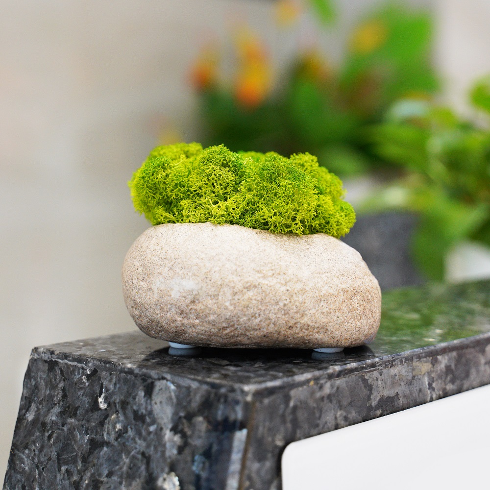 Artificial Green Plants Eternal Life Moss DIY Grass Garden Crafts Home Room Decor Mini Landscape Fake Grass 20/1000g