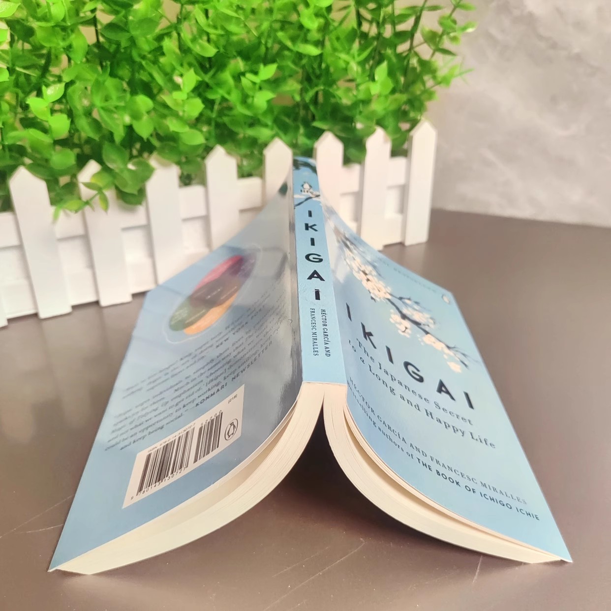 ปรัชญาลับของญี่ปุ่นเพื่อสุขภาพที่ดี โดย Hector Garcia หนังสือสร้างความสุขใหม่ + หนังสือเกี่ยวกับนิยายความหวัง