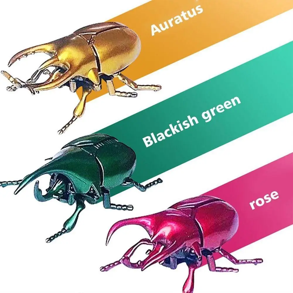Fashion Creative Wind-Up Beetle Children's Battle Gifts Animated Insect Model Prankster Scarab Beetle