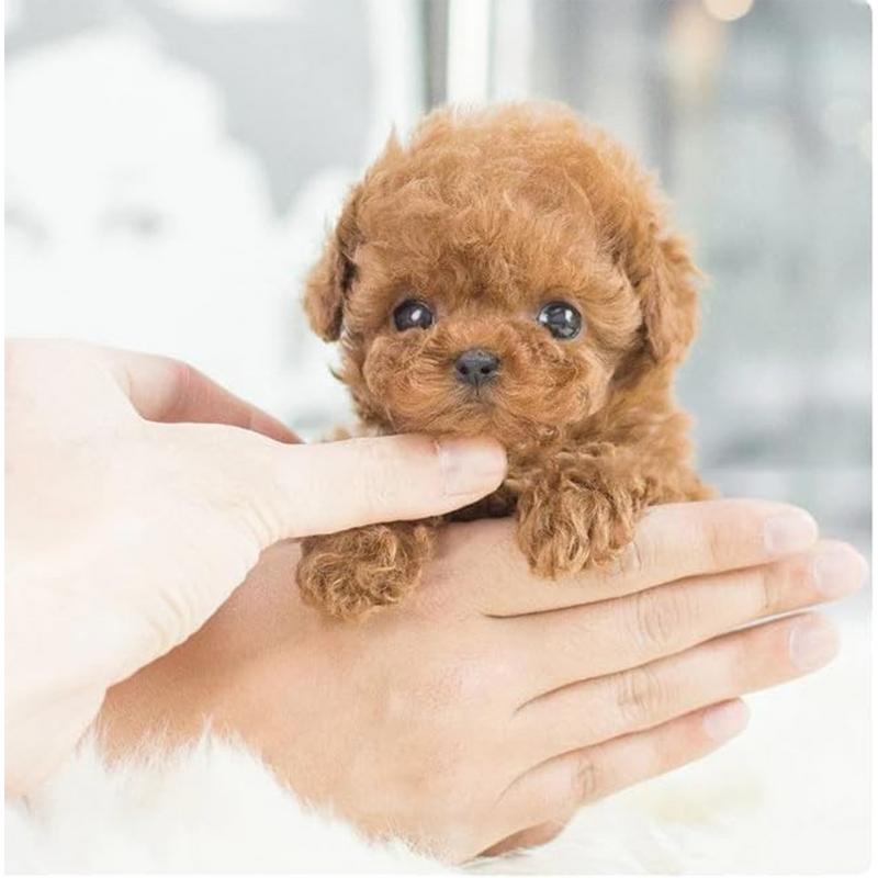 Realistic Plush Simulation Smart Dog Children Toy Can Walking And Call Electric Plush Robot Pet Dog Toddler Christmas Gift 0-7