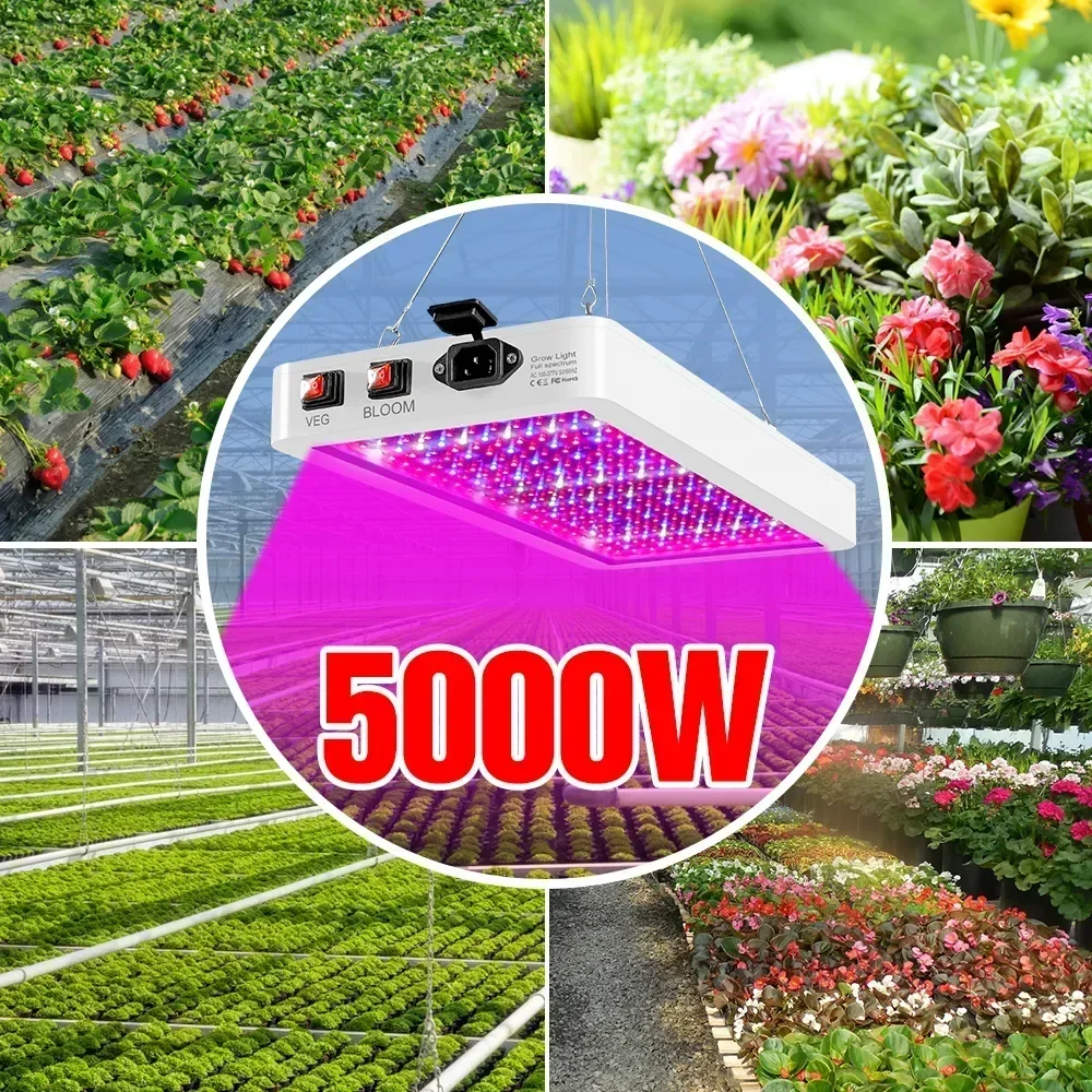 Lo más nuevo, luz LED de espectro completo de 4000/5000W, bombillas para plantas IP65, lámpara hidropónica, lámparas de invernadero, caja de iluminación para crecimiento de flores