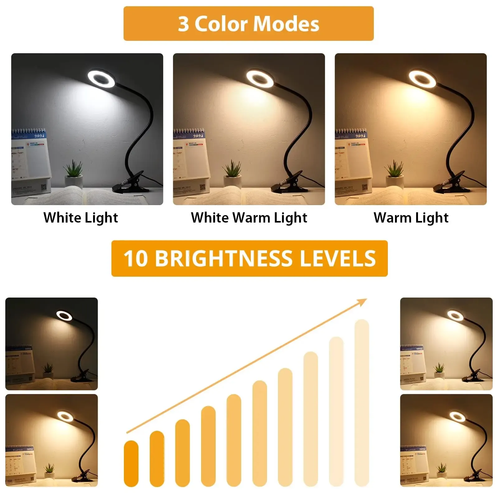 Clearance_Book Lights_Continuous updates