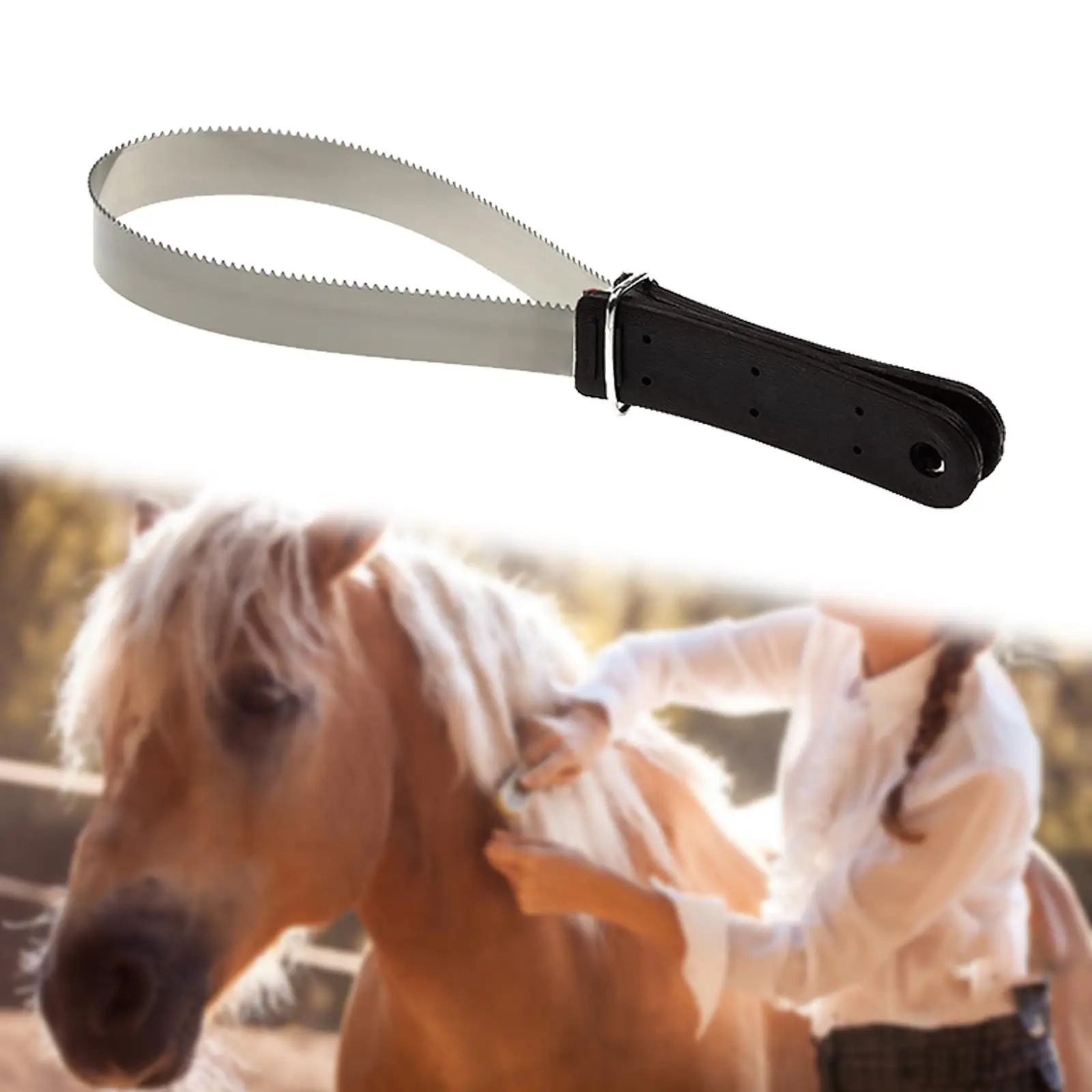 Strumento raschietto sudore in acciaio inossidabile per strumento per la cura del cavallo