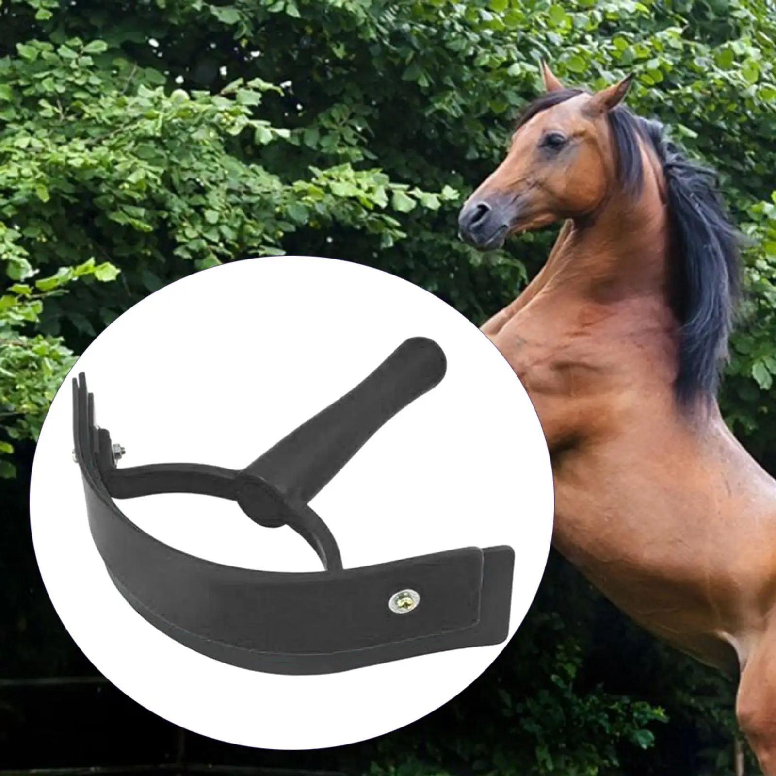 Rascador de sudor ecuino de animales de calidad, cepillo de limpieza para caballos, cuidado de caballos, raspador de sudor