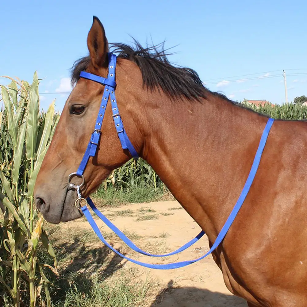 ม้า Halter ปรับคางม้า Halter Plush เบาะม้าการฝึกอบรมขี่ม้าอุปกรณ์เสริมปรับหัวเข็มขัดม้า Halter