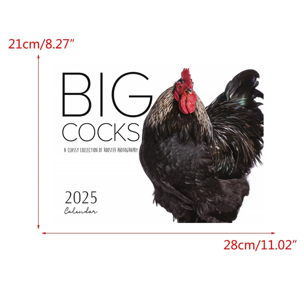 ปฏิทินไก่ใหญ่ปี 2025, การถ่ายภาพสัตว์ป่าที่สดใส, ปฏิทินติดผนัง 12 เดือน, ของตกแต่งบ้านสํานักงาน, ผู้ที่ชื่นชอบสัตว์, กระดาษ, E