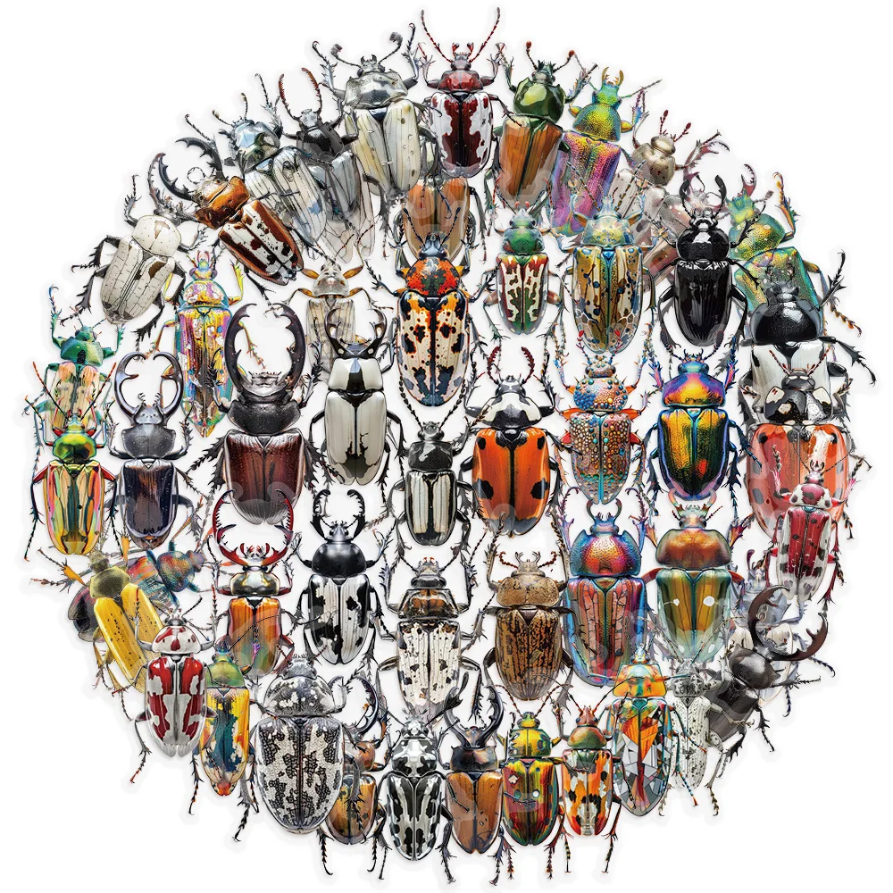 50 Uds. De pegatinas de escarabajo de insectos de dibujos animados, PET para juguete, equipaje DIY, portátil, guitarra, monopatín, funda de teléfono, pegatina para coche y bicicleta