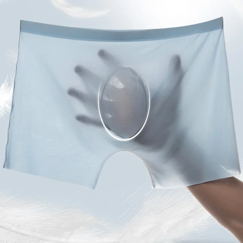 Ice InjMen-Boxers sans couture pour hommes, caleçons masculins, culottes, sous-vêtements sexy, slips, caleçons, caleçons