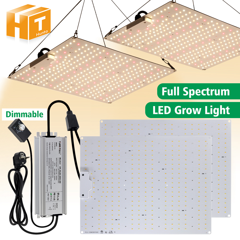 Vollspektrum-LED-Wachstumslicht LM281B 100 W 150 W 200 W Phyto-Wachstumslampe für Wachstumslicht im Innenbereich für alle Bühnenpflanzen