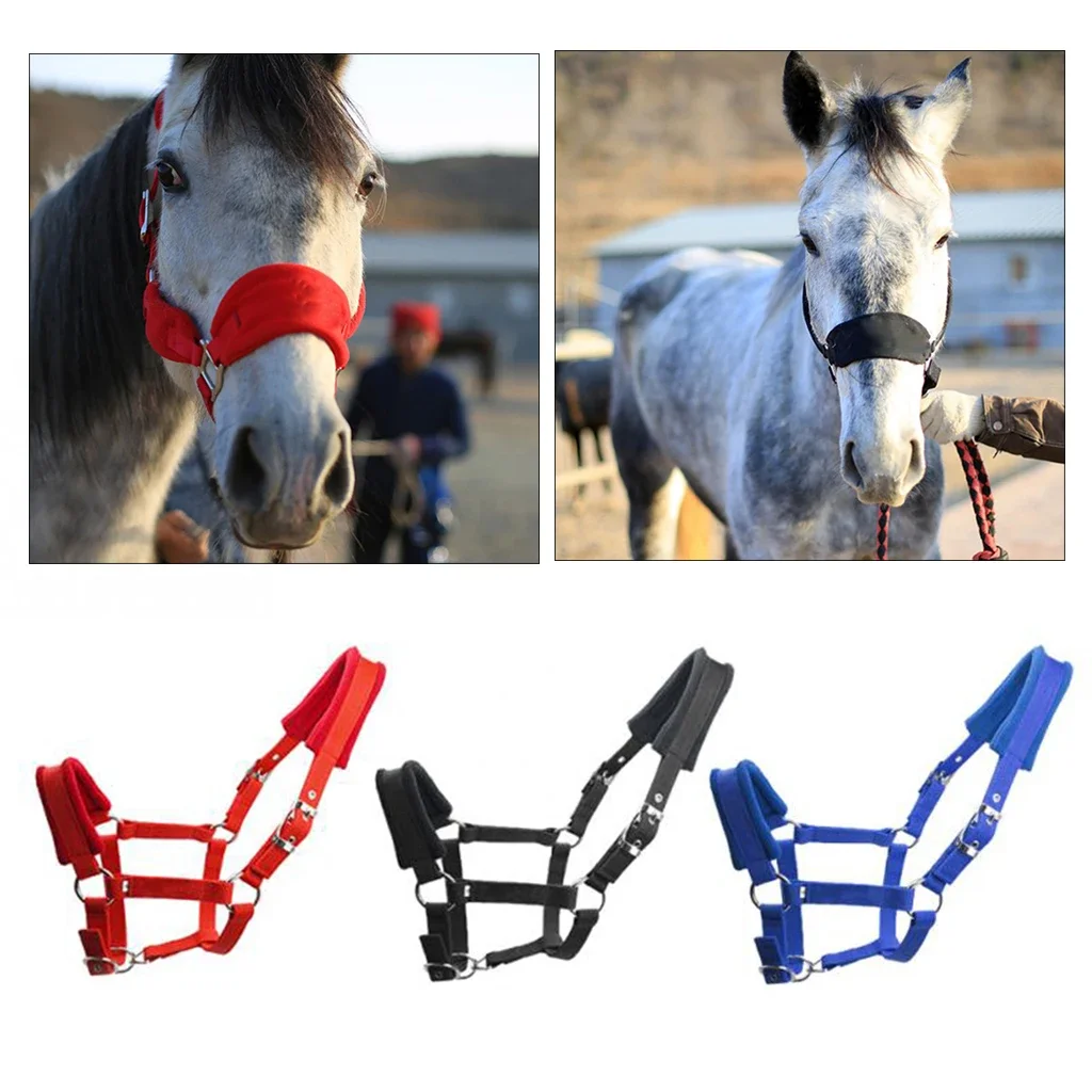 Brida Halter de caballo de poni acolchada suave, Collar de cabeza para montar a caballo, accesorios para cabeza occidental