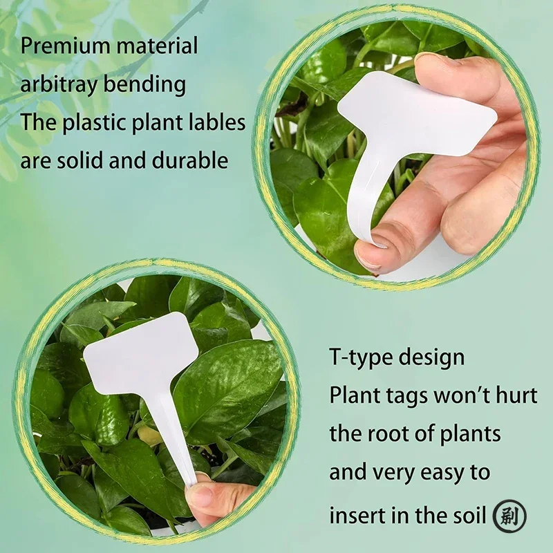 50pcs T-Type Plant Label Markers กันน้ํา PVC สวนพืชการจําแนก Sorting ป้ายหมวดหมู่พืชเนอสเซอรี่เครื่องหมายป้าย