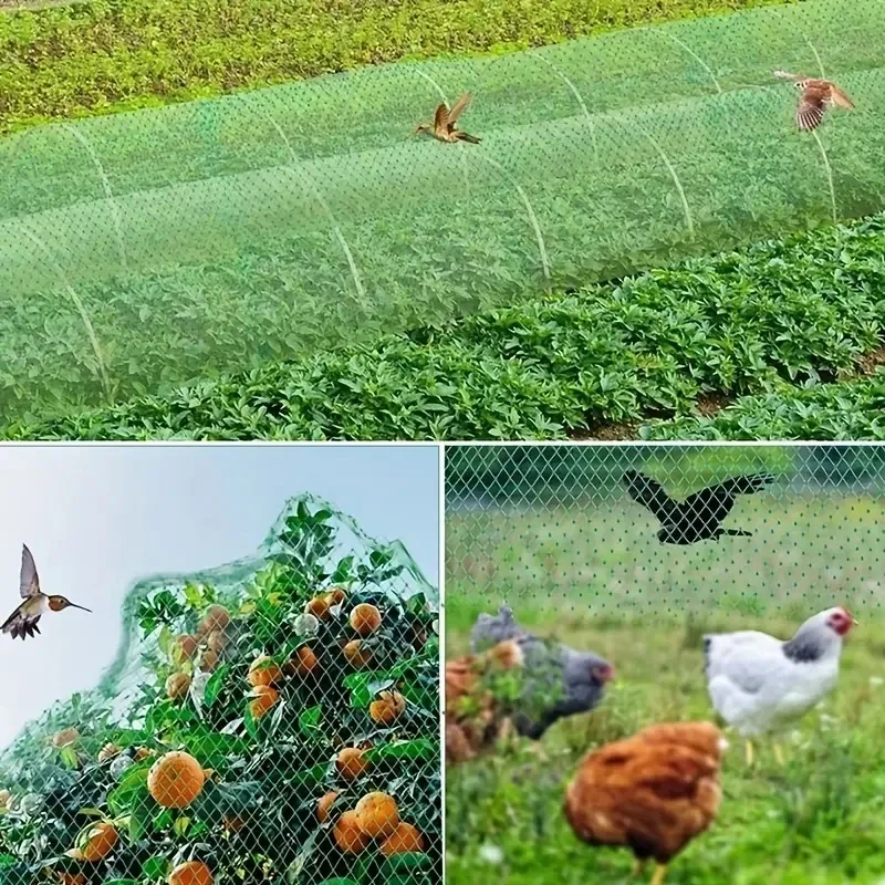 Gartennetz, grünes gewebtes Netz, schützt Pflanzen, Früchte, Blumen, Bäume, dehnbares Fechten, langlebiges Netz, stoppt Vögel, Hirsch und Tiere