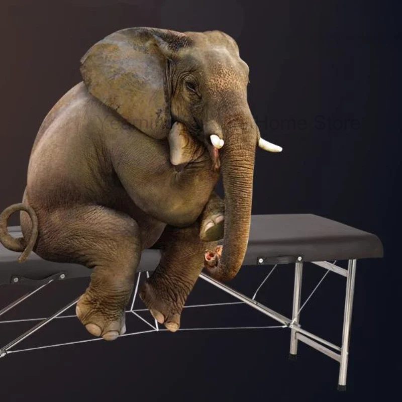 마사지 침대 화장품 스파 뷰티 테이블, 휴대용 스트레처, 평평한 접이식 전문 미용사, Camillas Masaje