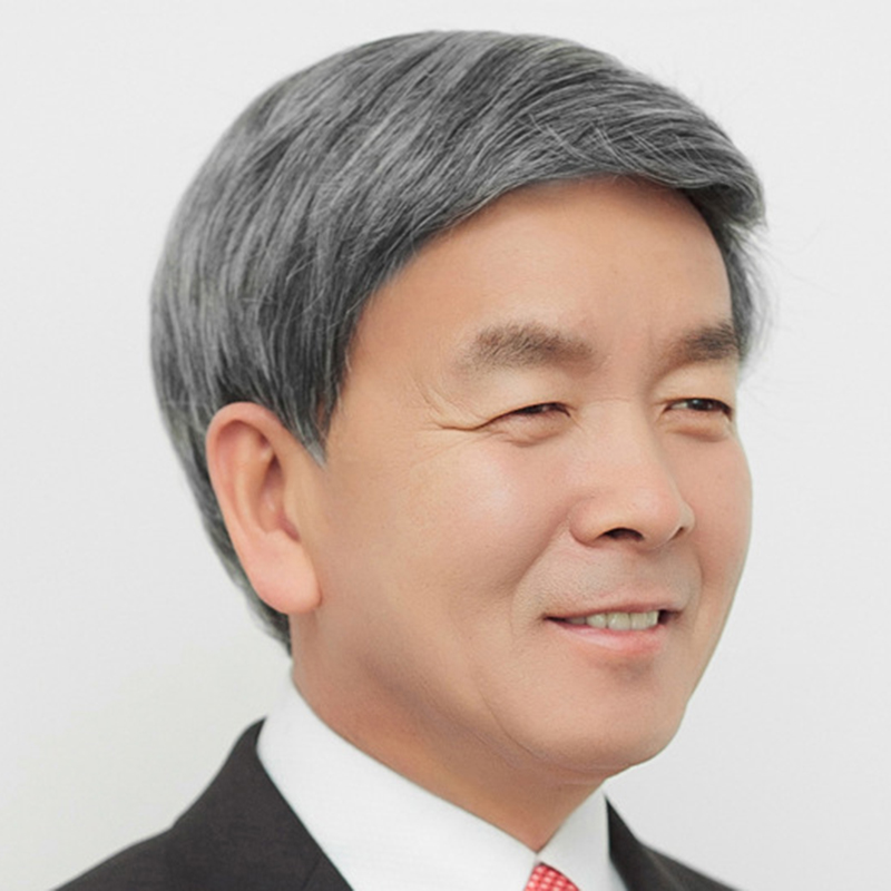 Perücken mittleren Alters und ältere Menschen, blumig weiß, Herren-Kurzhaarperücken, volle Perücken