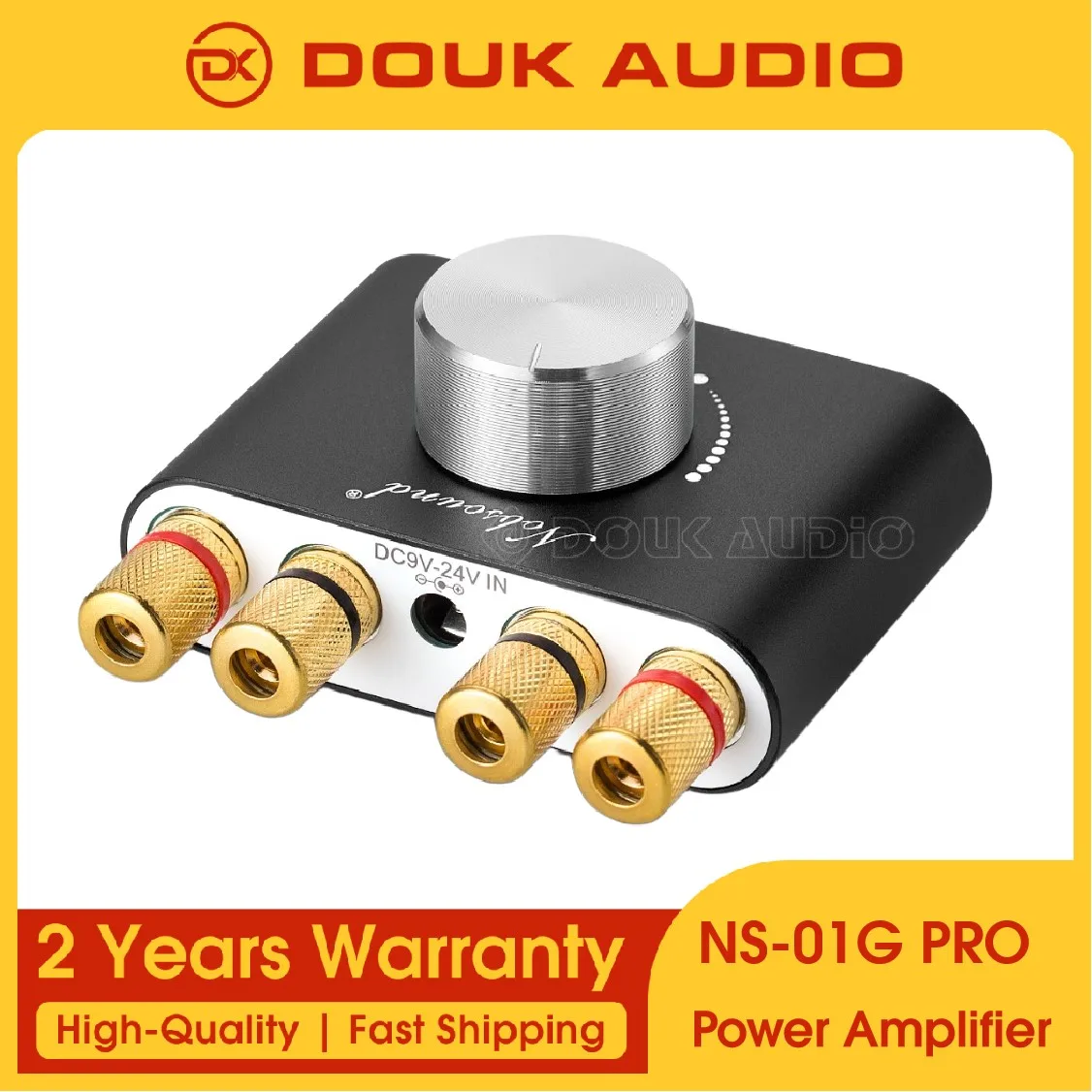Douk Âm Thanh Mini Bluetooth 5.0 Bộ Khuếch Đại Kỹ Thuật Số NS-01G Hi-Fi Stereo Âm Thanh Nhà TPA3116 Bộ Khuếch Đại Công Suất 100W