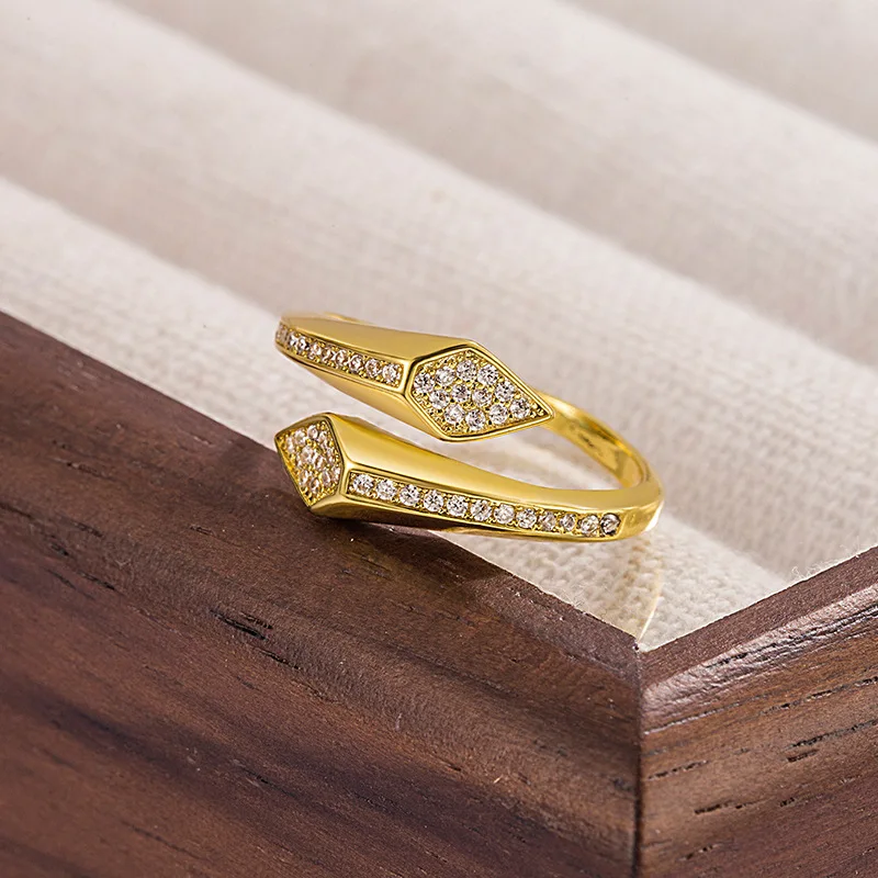 RAKOL Snake Ring Micro Inlaid Zircon Wound Small Female Simplicity Minority Designer Fashion Index Finger Ring