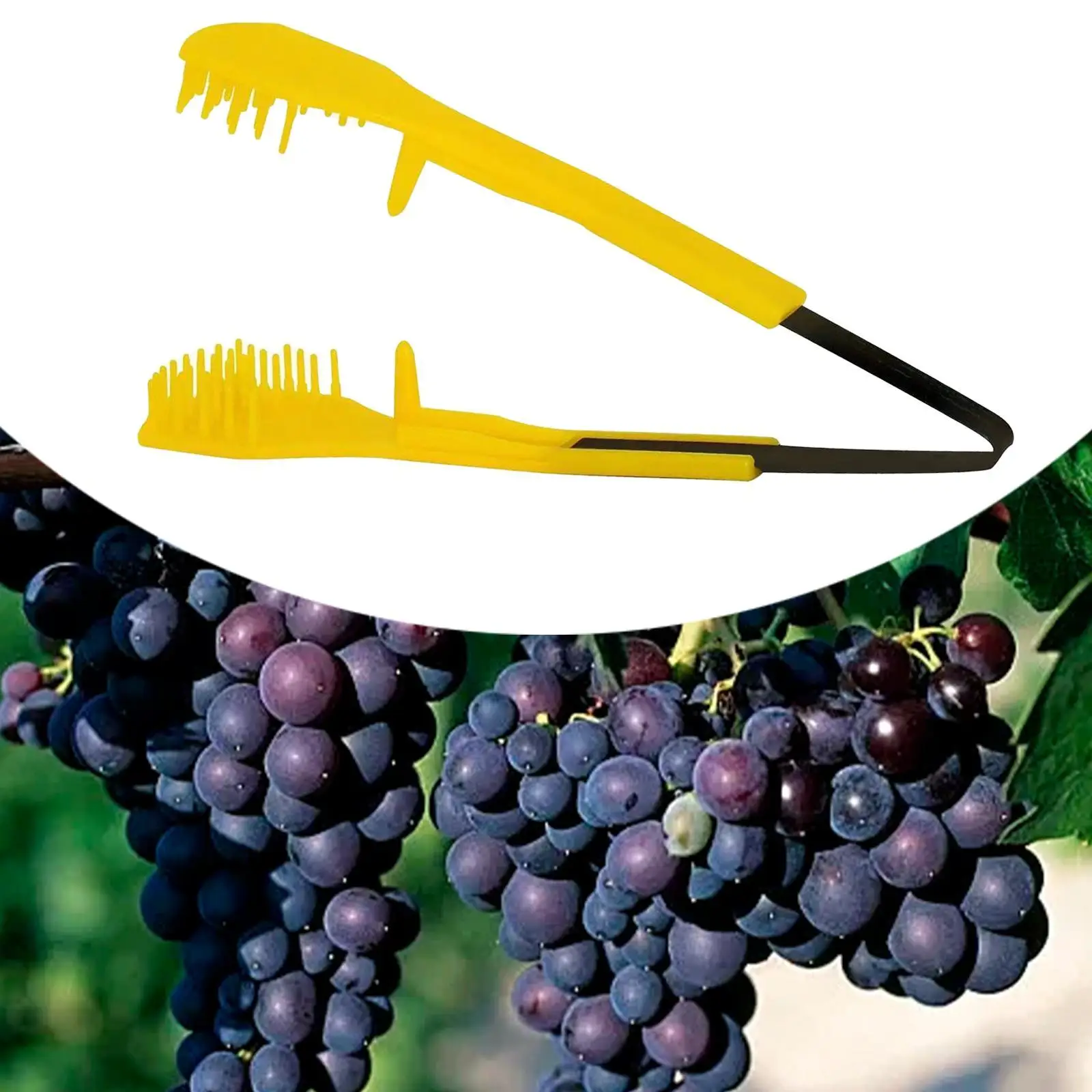 Grape Pruning Clip Thinning Tool Grape Clippers Pruning Snips Hand Pruner Comfort Handle Pruning Shears Gardening Tools