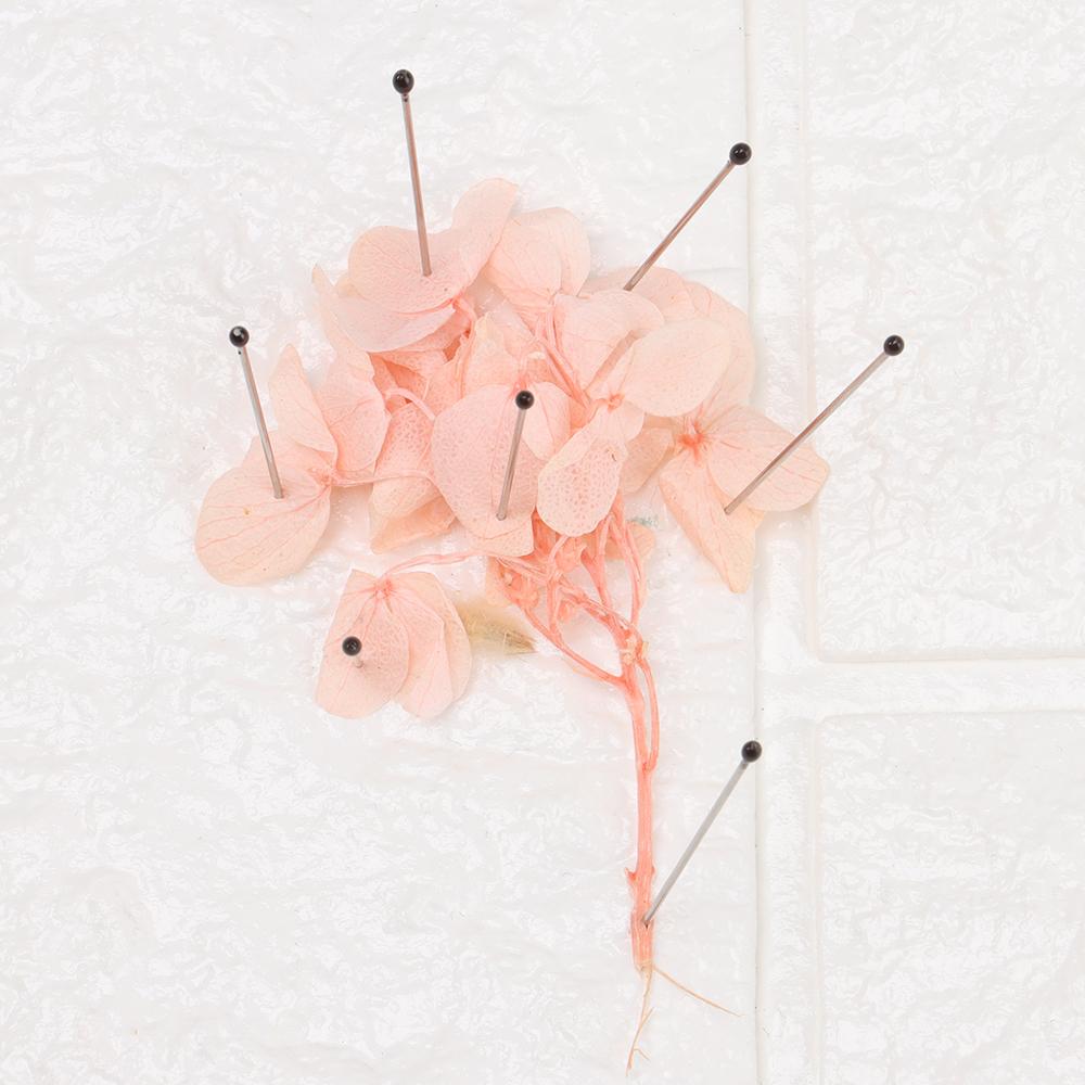 100 Stück Edelstahl-Insektennadel mit Kunststoffbox, hohe Härte, scharfe Spitze, Probennadeln, gute Flexibilität, Stiftlaborzubehör