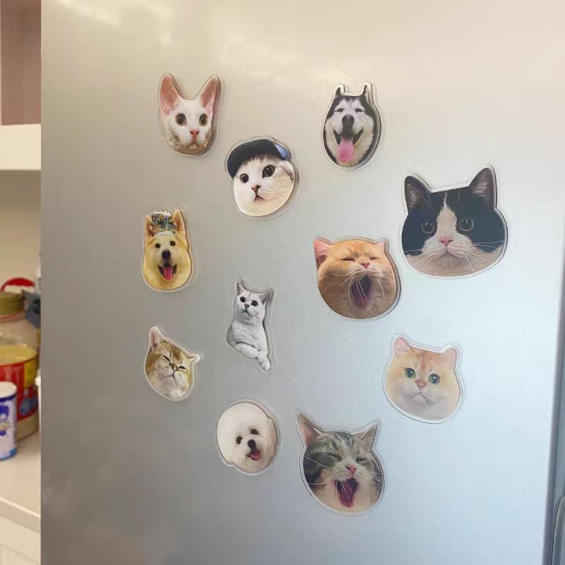 ขายส่งอะคริลิคตู้เย็นสติกเกอร์เด็กน่ารักสัตว์เลี้ยง Star Figures รูปภาพแม่เหล็กตู้เย็นอะนิเมะการ์ตูนพวงกุญแจ