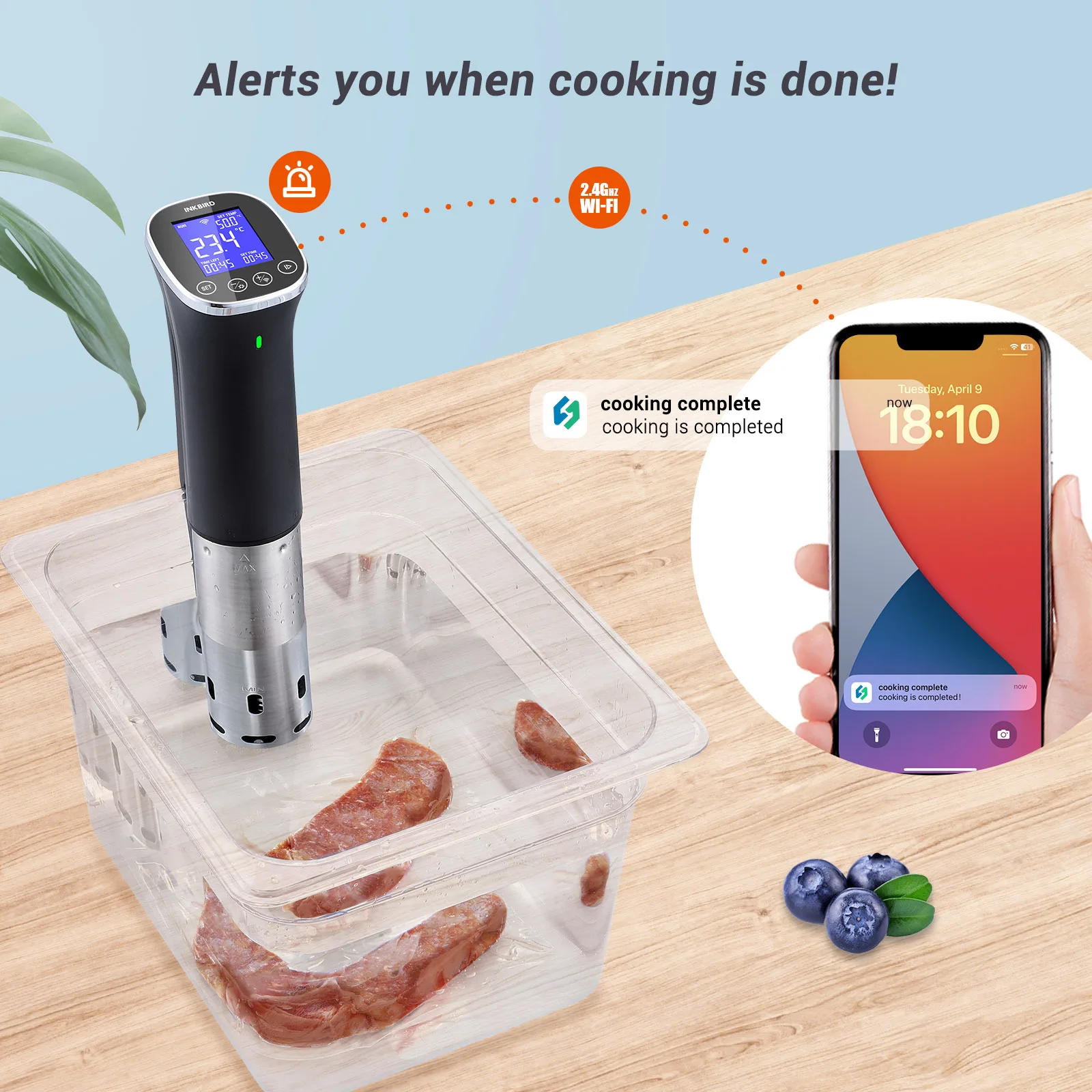 INKBIRD ISV-300W WiFi Sous Vide Machine 220V EU Plug IPX7 Waterproof Sous Vide Cooker APP Remote Control with Recipes Alarms
