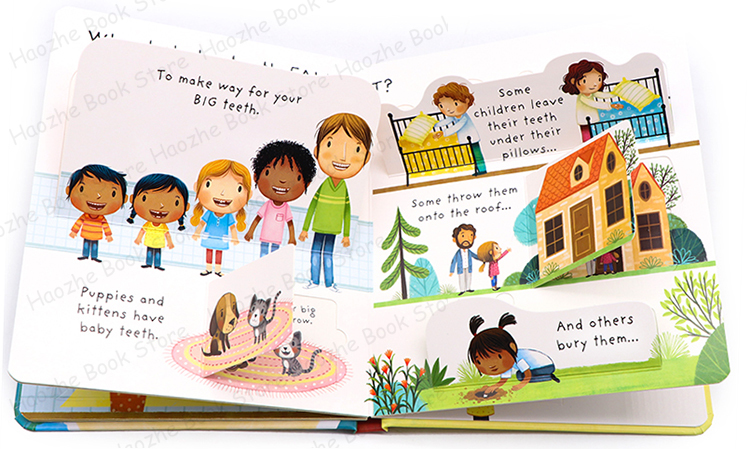 Very First Questions and Answers: Why Should I Brush My Teeth? Usborne Lift the flap Children's Activity English Book Montessori