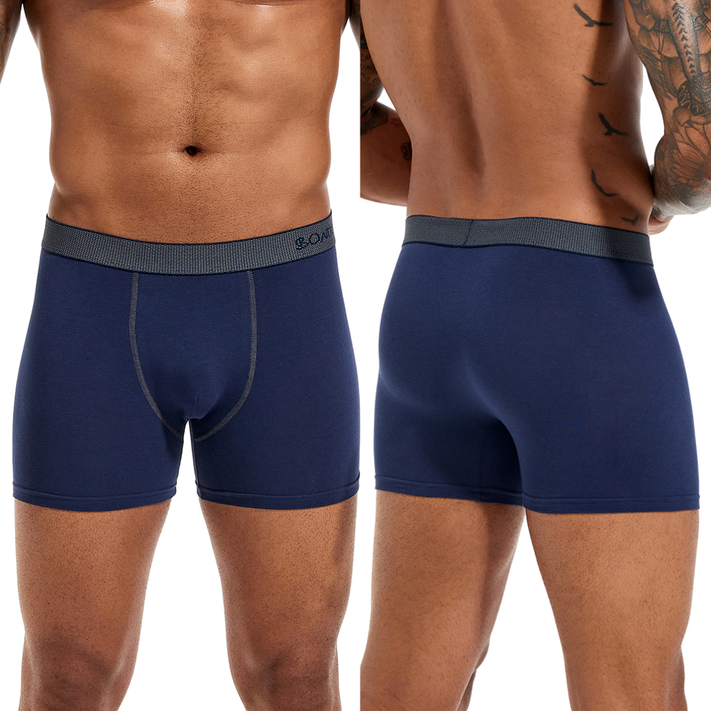 5pcs Pack 2023 Men Panties Cotton Underwear Male Brand Boxer And Underpants For Homme Lot Luxury Set Sexy Shorts Gift Slip Sale