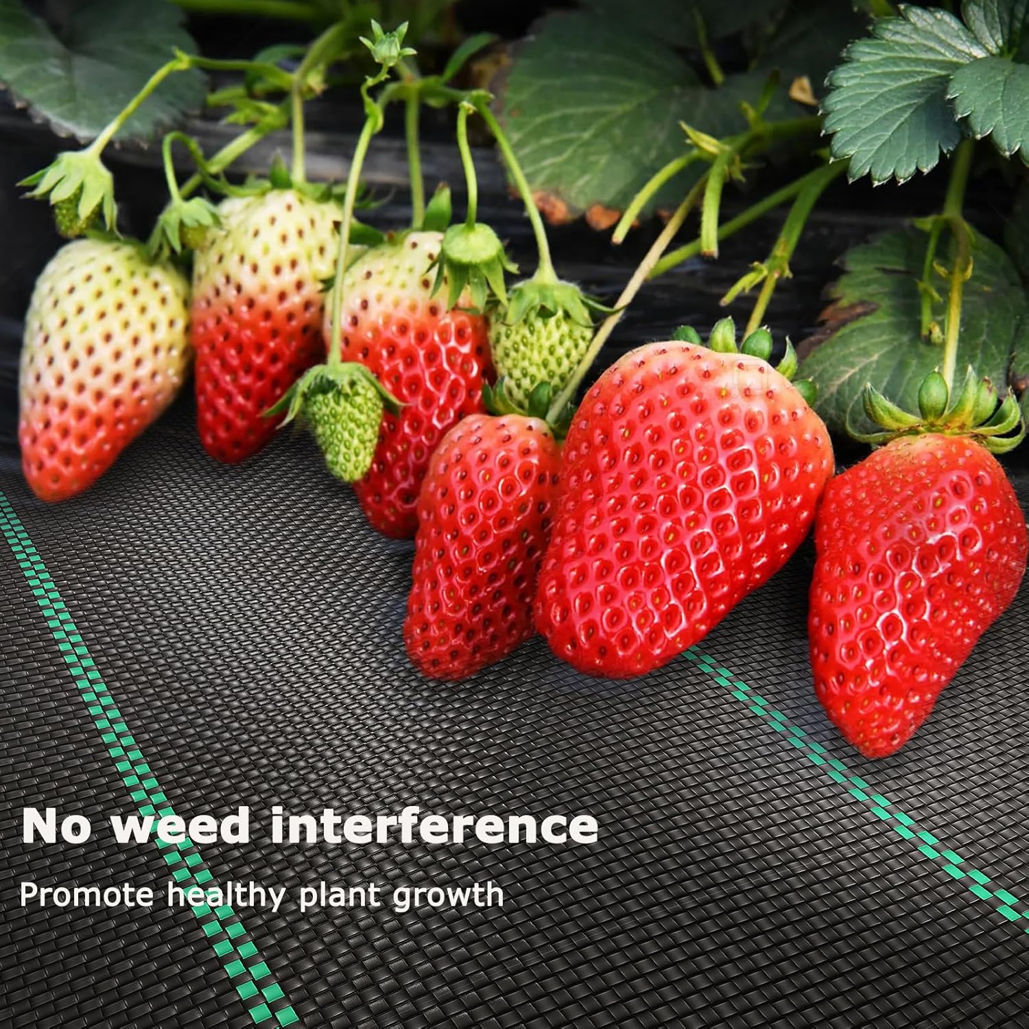 2 x 100 m Malla Antihierbas, Malla contra Malas Hierbas, 90 g/m2 Geotextil, Protección césped Artificial, Lona antimalezas