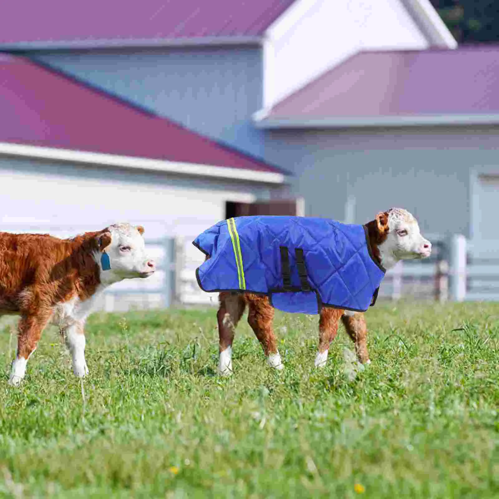 Wadenweste Winterkleidung Warme Fleecedecke Kleidung Ziege Sherpa Bekleidung Tierbedarf Ranch