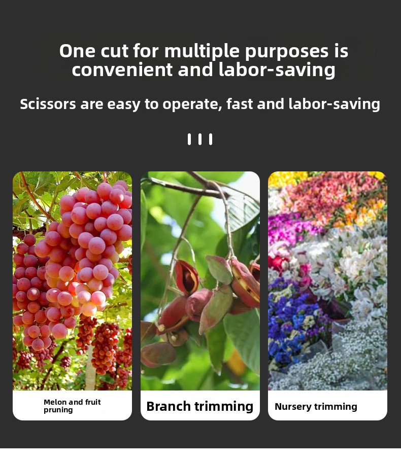 190mm Straight Head Pruning Shears Non-slip HandleStainless Steel Outils Manuels Household Bonsai Garden Scissors Pruing Shear