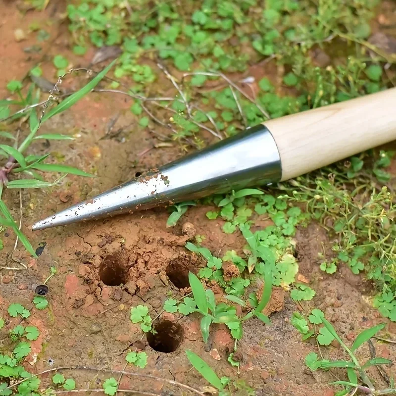 Dibber a mano in acciaio inossidabile con manico in legno per semina di semi, trapianto di piante, piantagione di bulbi