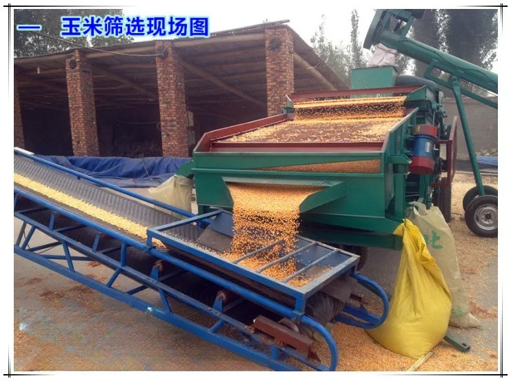 Разделирование кукурузных примесей, электрический сифантер, очистка зерна, измельчение зерна, каменная пыль, ясность 98%