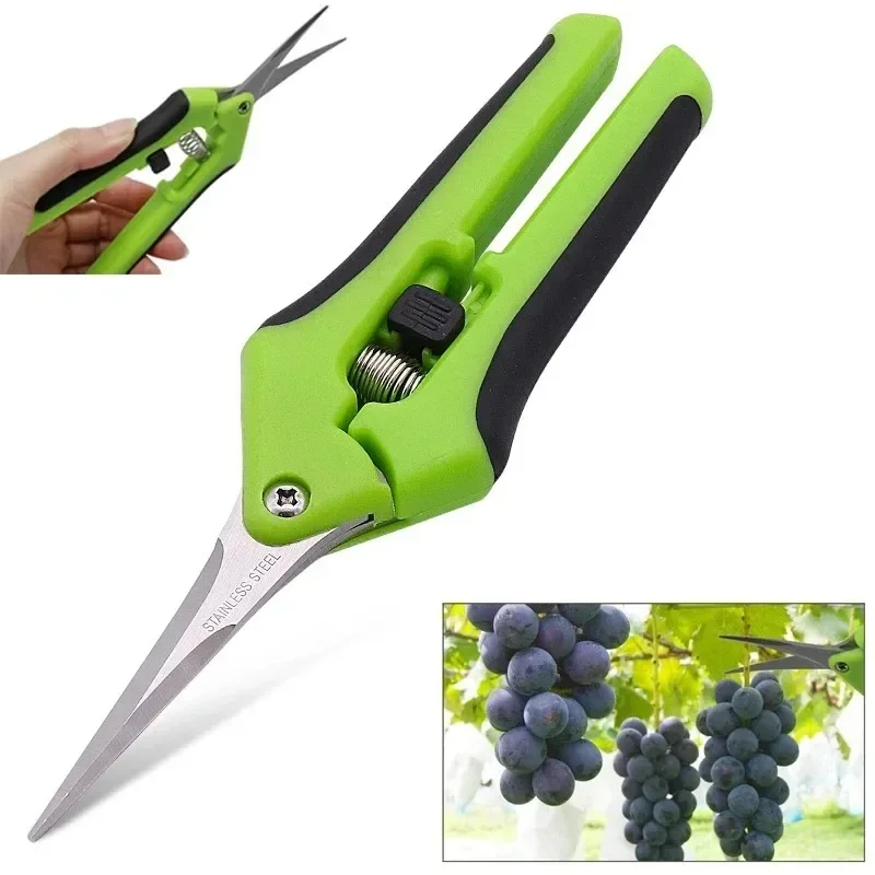 Forbici da giardinaggio da 6,5 pollici Cesoie da potatura a mano Forbici da taglio con lame in acciaio inossidabile a gomito dritto per piante