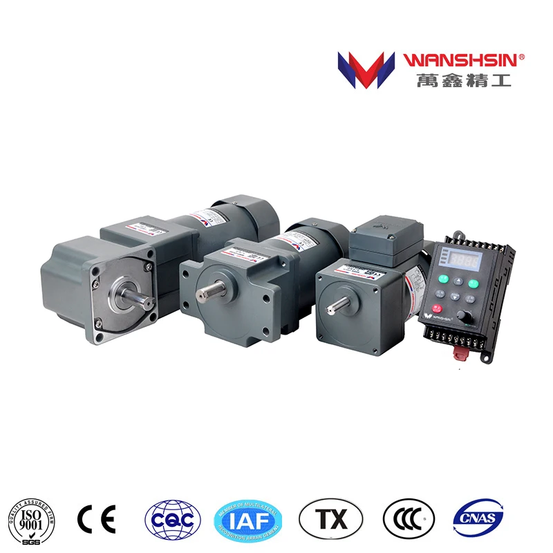 Wanshsin Factory Direct Sales Voltage 40W AC Gear Motor High Torque Speed Reducer
