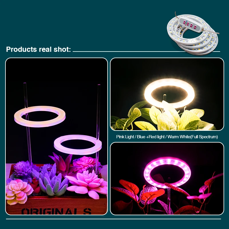 LED Angel แหวนเติบโตไฟเต็มสเปกตรัมโคมไฟสําหรับพืชดอกไม้ต้นกล้าเรือนกระจก DC5V USB ในร่ม Phytolamp Growth Light
