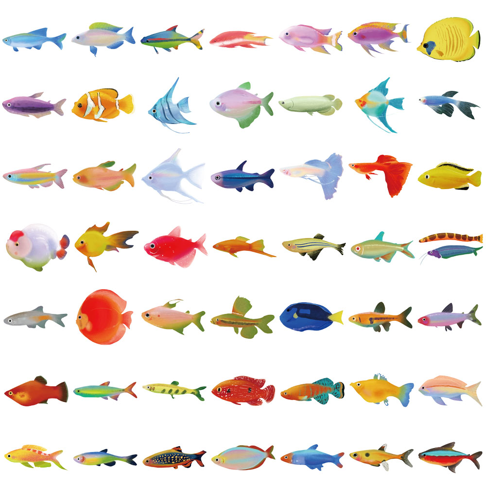 50PCS ปลาโปร่งใสสติกเกอร์แล็ปท็อปรูปลอกห้องนั่งเล่นสมุดภาพสเก็ตบอร์ดกระเป๋าเดินทาง Art กันน้ําโทรศัพท์สติกเกอร์ Graffiti