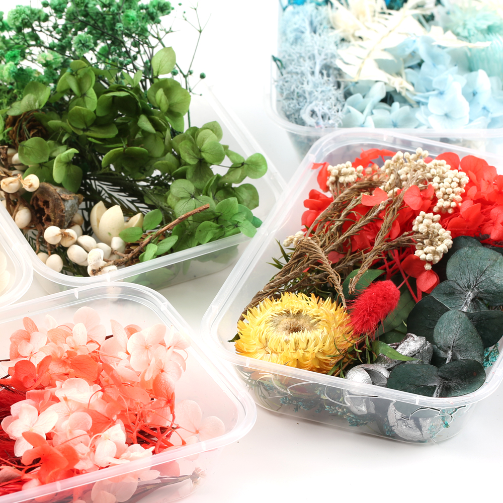 1 Box  Artificial Plants Natural Real Dried Flowers  for Candles Mold Epoxy Resin DIY Making Decoration Home Accessories Crafts