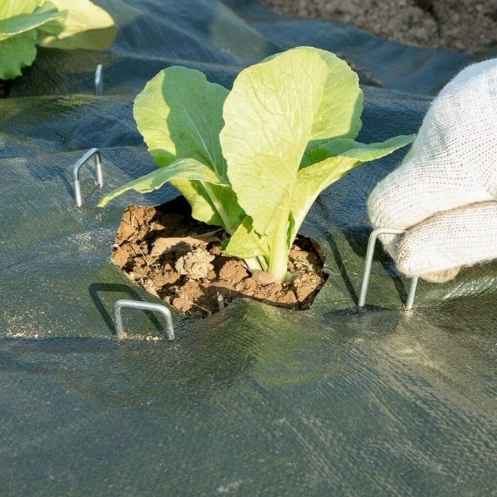 Graffette da giardino tipo U picchetto per recinzione resistente perni per zolle picchetti per paesaggi zincati Spike per tenere la copertura del terreno della barriera contro le erbacce