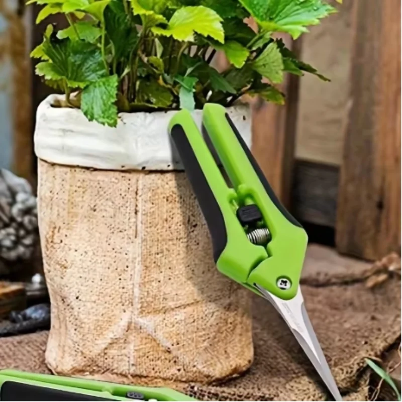 Forbici da giardinaggio da 6,5 pollici Cesoie da potatura a mano Forbici da taglio con lame in acciaio inossidabile a gomito dritto per piante