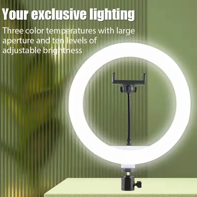 Anillo de luz para Selfie de 10 pulgadas, luz de relleno para fotografía, lámpara de anillo Led con inclinación panorámica para grabación de vídeo, transmisión en vivo, luces para Selfie