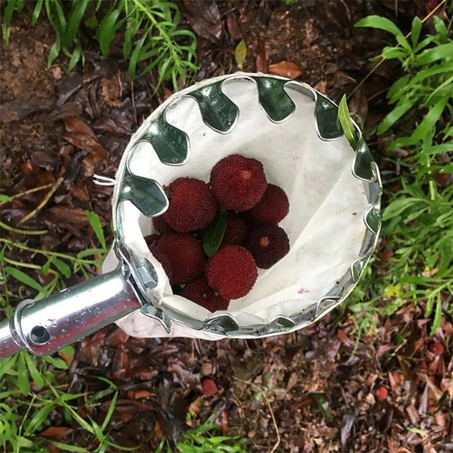 Strumenti per la raccolta di frutta Raccoglitore Raccoglitore di alberi Raccoglitore di frutta Bacche Attrezzo da giardinaggio Forniture per lavori in giardino Utensili Gadget agricoli