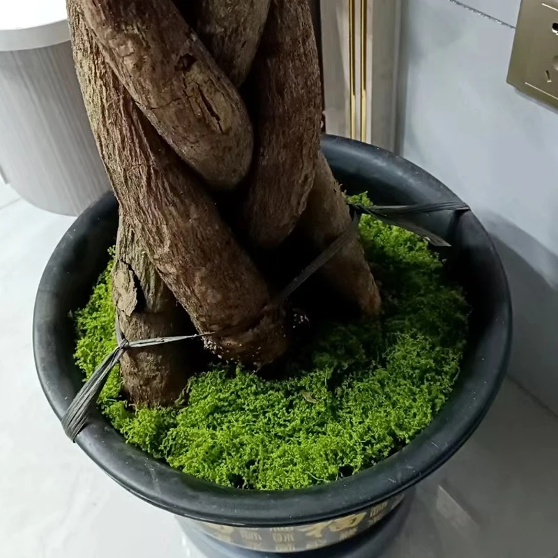 ca. 20 g künstliche Grünpflanzen, Polyester, Moosgras, Zuhause, Wohnzimmer, Garten, Dekoration, Mini-Landschaft, gefälschte Blumen, DIY-Handwerk