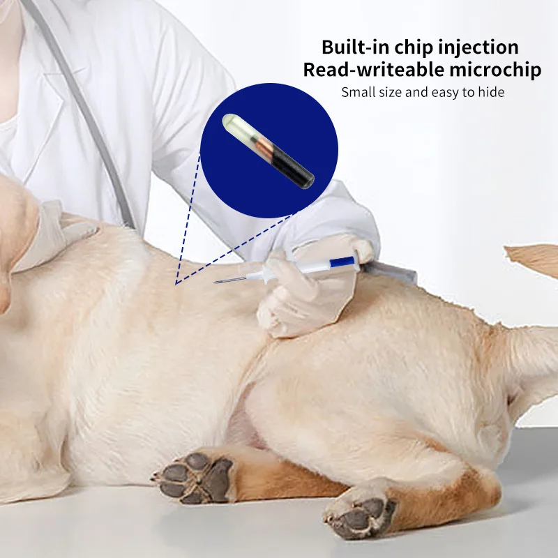 Pet EM4305 Microchip Seringa, Animal ID Chip, 134.2KHz, FDX-B, Padrão Internacional, 100pcs